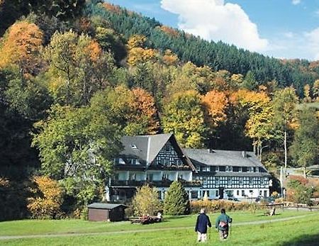 Tommes Gaestehaus Zur Muehle Schmallenberg Εξωτερικό φωτογραφία