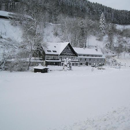 Tommes Gaestehaus Zur Muehle Schmallenberg Εξωτερικό φωτογραφία