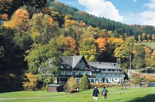 Tommes Gaestehaus Zur Muehle Schmallenberg Εξωτερικό φωτογραφία