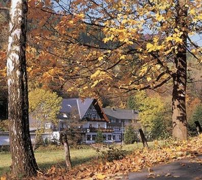 Tommes Gaestehaus Zur Muehle Schmallenberg Εξωτερικό φωτογραφία